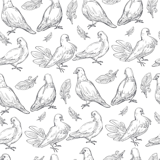 Doves birds with feathers pigeons seamless pattern vector