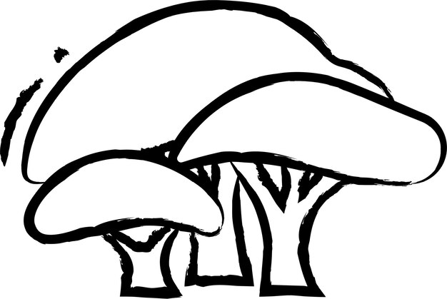 Illustrazione vettoriale disegnata a mano di dracaena cinnabari