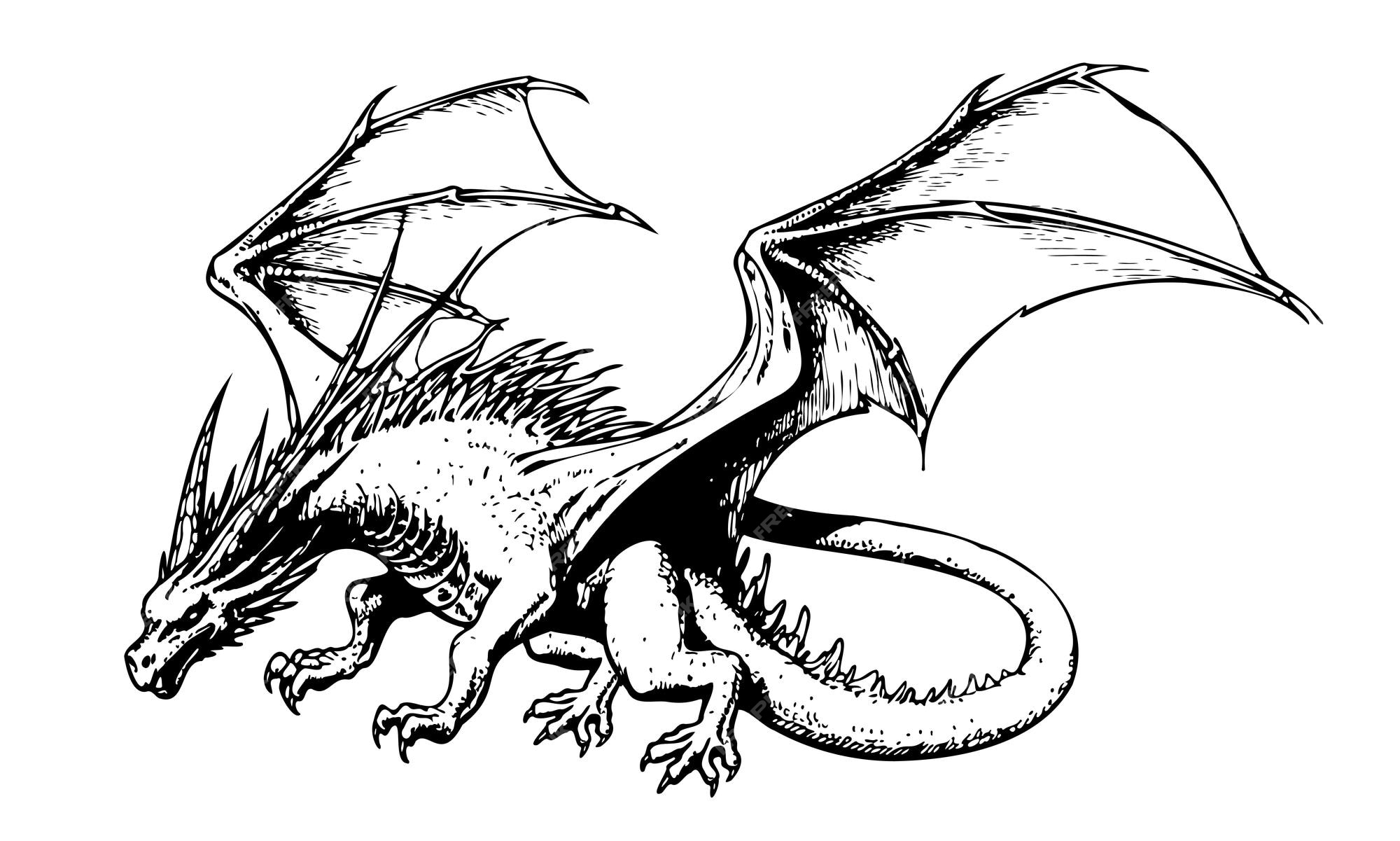 Dragon Flying Sketch Royalty-Free Images, Stock Photos & Pictures