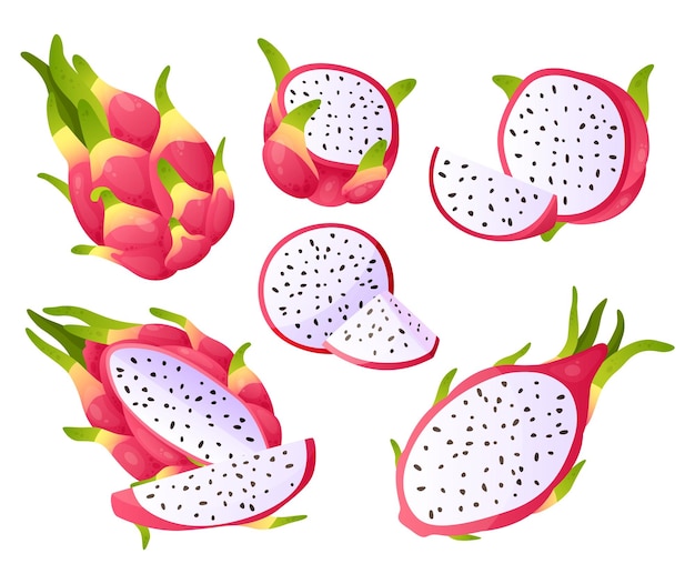 Vector dragon fruit cartoon pitaya pieces sweet exotic products half and whole ripe pitahaya fresh healthy organic dessert ingredients delicious juicy food vector isolated tropical asian plants set