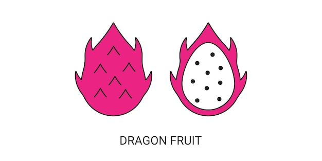 Dragon Fruit Exotisch Fruit Icon Element voor web