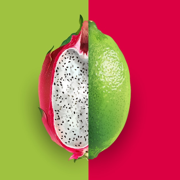 Vector dragon fruit and lime illustration