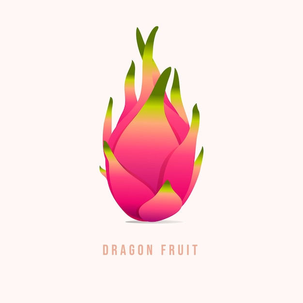 Vector dragon fruit modern style vector illustration