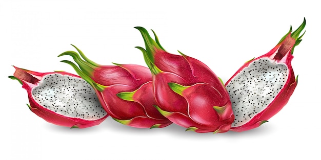 Vector dragon fruit realistic illustration