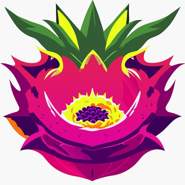 Dragon Fruit Vector Illustration