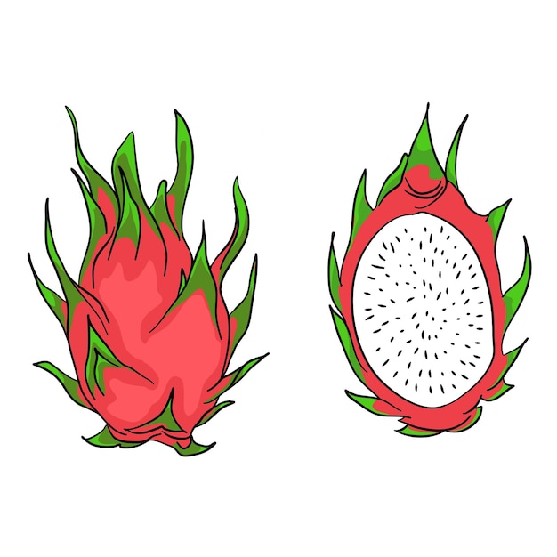 Вектор Драконовые фрукты целые фрукты и половины тропических фруктов