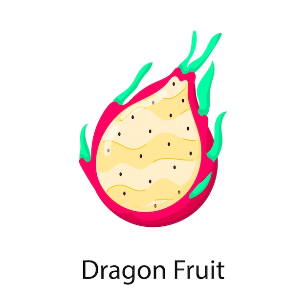 Vector a dragon fruit with the word dragon on it