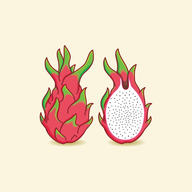 Vector dragon fruit