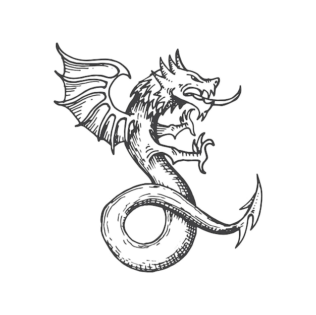 Dragon Sketch Images - Free Download on Freepik