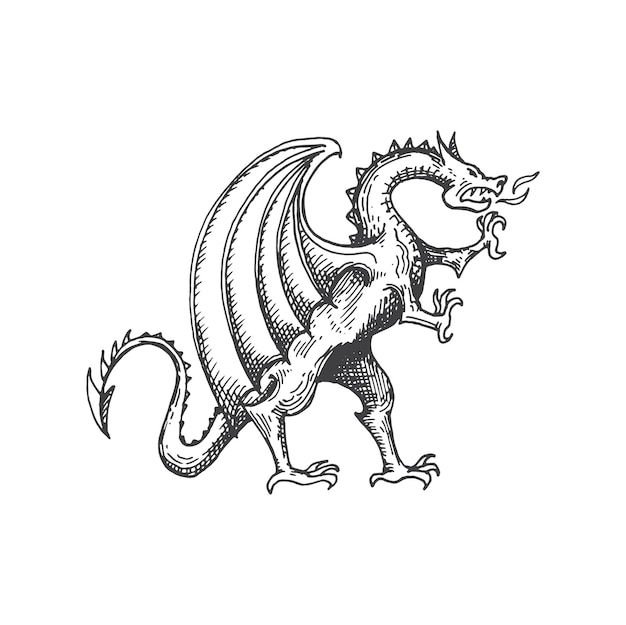 Vector dragon medieval heraldic animal monster sketch