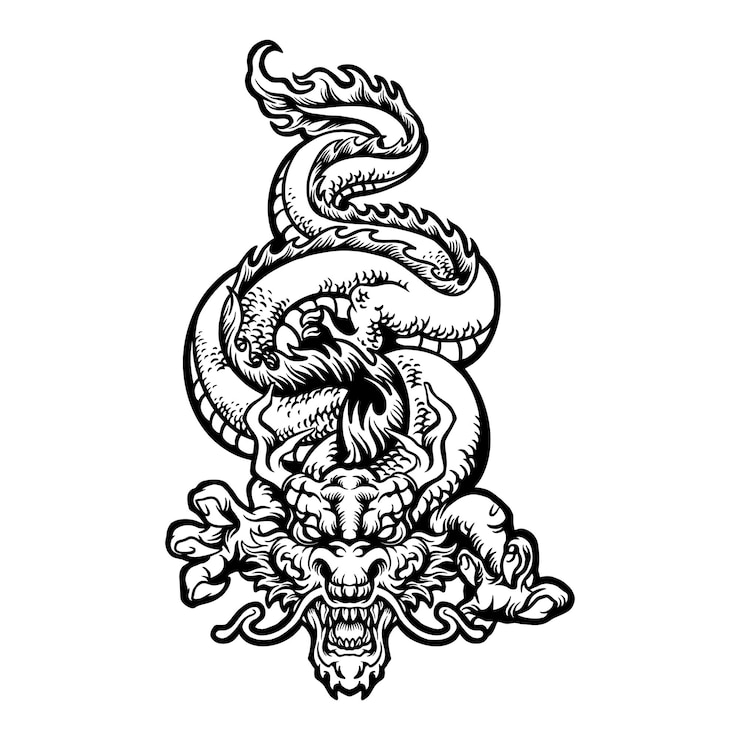 Vector dragon original