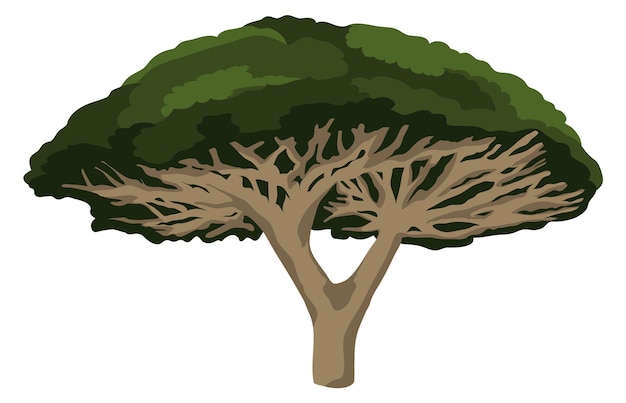 Значок дерева дракона Экзотическое зеленое тропическое растение