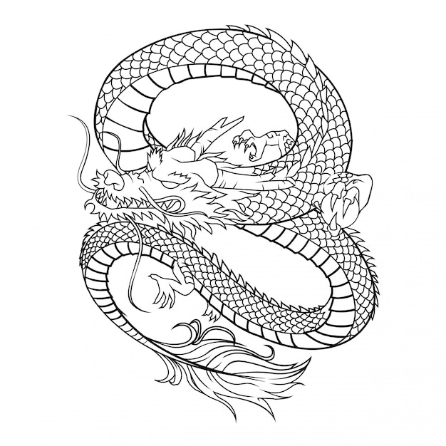 Dragon vector illustration on white background