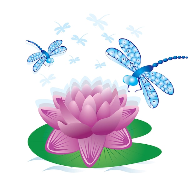 Dragonflies and water lilie vector