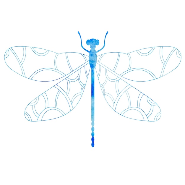 Vector dragonfly blauw aquarel silhouet op witte achtergrond geïsoleerd
