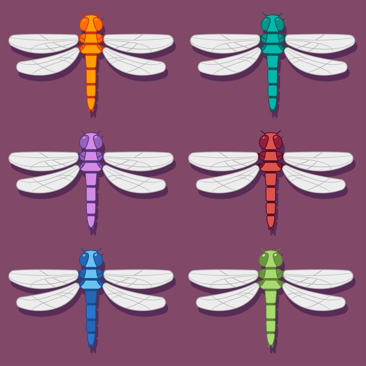 Vector dragonfly cartoon set isolated on background.