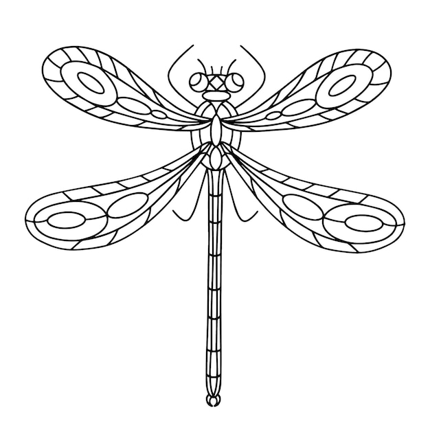 Vector dragonfly coloring book linear illustration