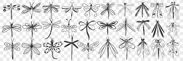 Dragonfly doodle set.