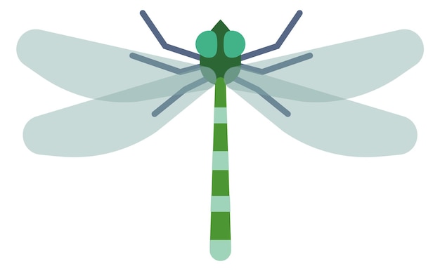 Vector dragonfly flat icon winged flying color insect