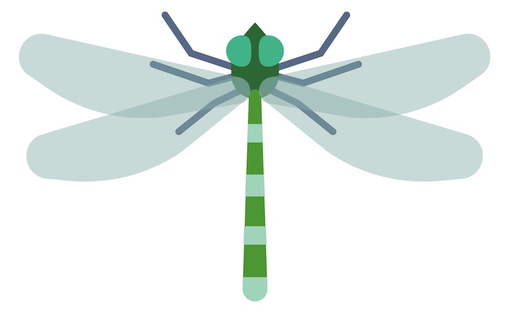 Vector dragonfly flat icon winged flying color insect