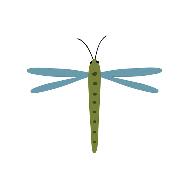 dragonfly hand drawn in flat style children's illustration