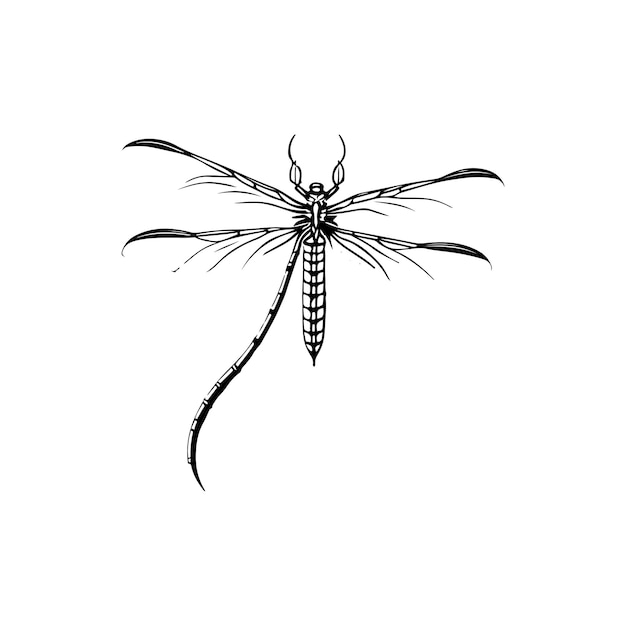 Dragonfly Icon hand tekenen zwarte kleur vliegende dieren logo vector element en symbool