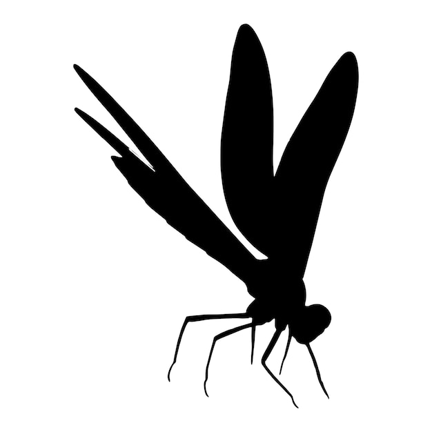 Dragonfly icon silhouette vector illustration