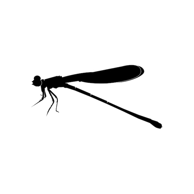 Dragonfly icon