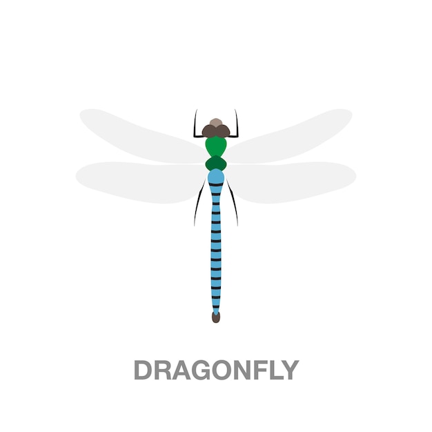 Dragonfly illustration on transparent background