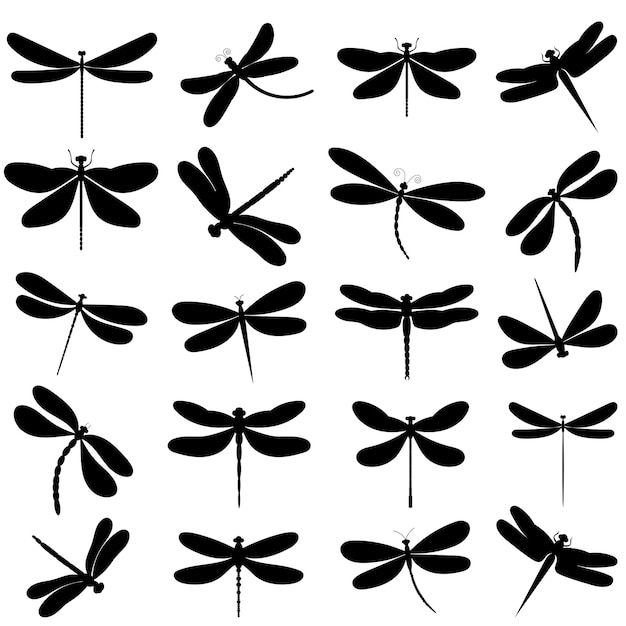 Vector dragonfly insects set isolated vector