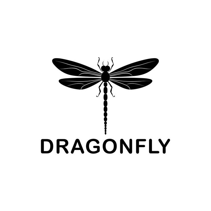 Vector dragonfly logo vintage icon vector illustration