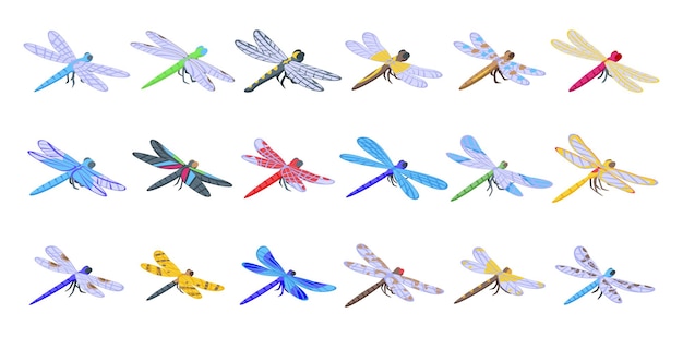 Dragonfly pictogrammen instellen isometrische vector natuur dier