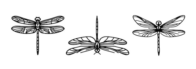 A dragonfly and a set of four dragonfly tattoos