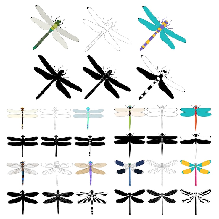 Vector dragonfly set silhouettes