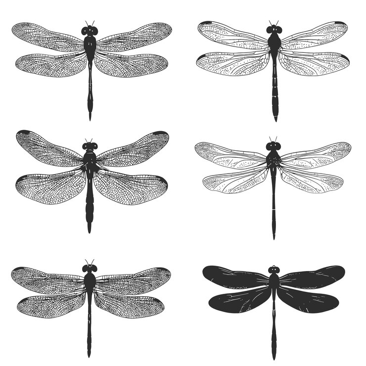 Dragonfly silhouette set collectie op witte achtergrond vector geïsoleerd