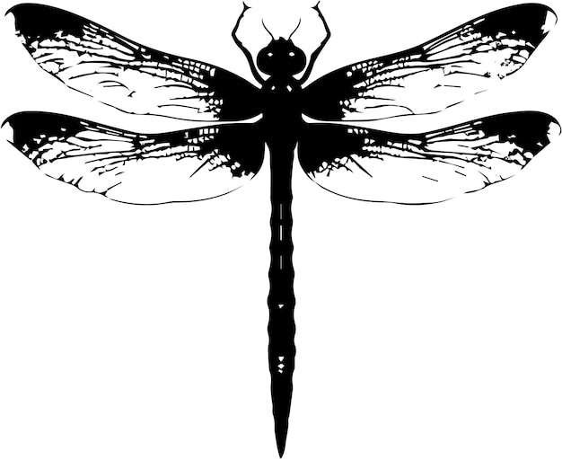 Dragonfly silhouette vector images