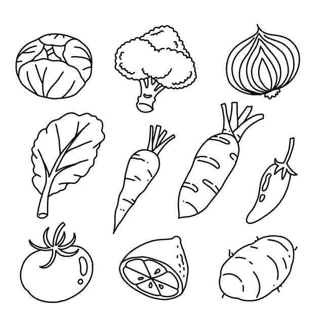 Нарисуйте набор каракулей из овощей черными линиями набросков на белом фоне