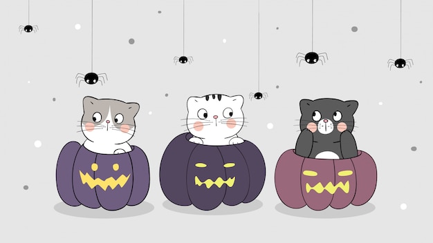 Disegna il gatto banner in zucca con ragno.per il giorno di halloween.