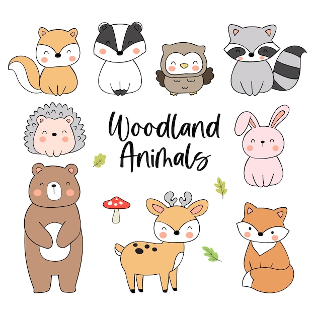 Vector draw collection cute woodland animal doodle cartoon style