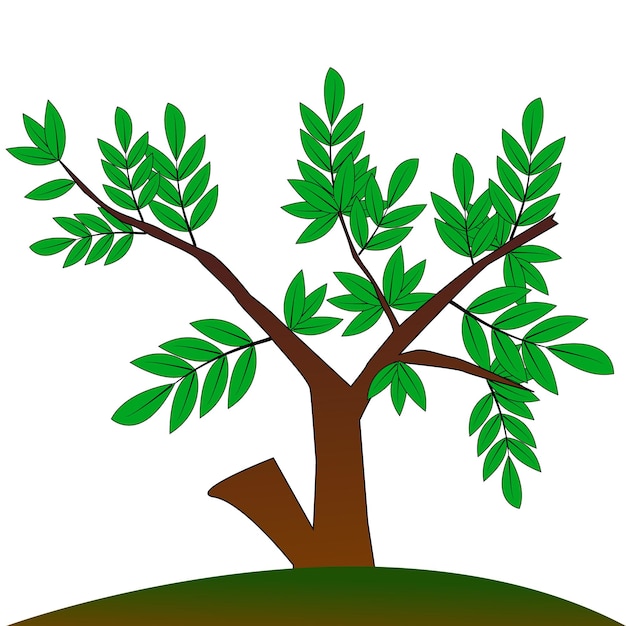 Vector draw a green tree