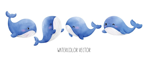 Vector draw vector illustration collection cute baby blue whale for kids watercolor painting