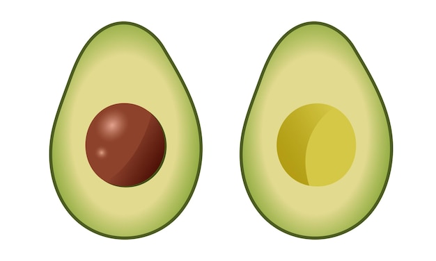 a drawing of an avocado with a half of it showing a half of it