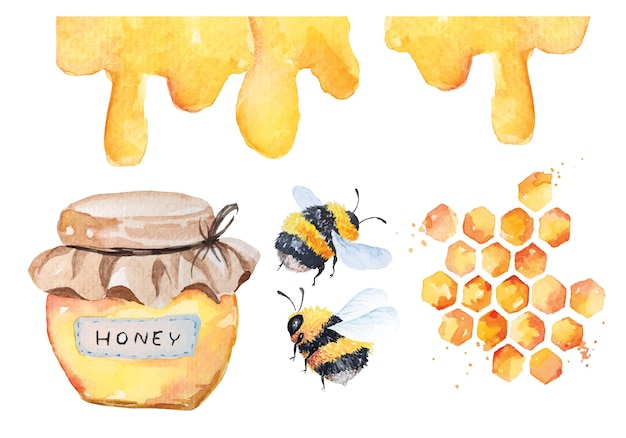 Drawing bees with watercolorWatercolor honey jarYellow honeycombFlying insects for honey