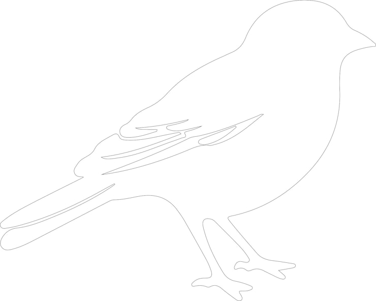 Vector a drawing of a bird with a black outline