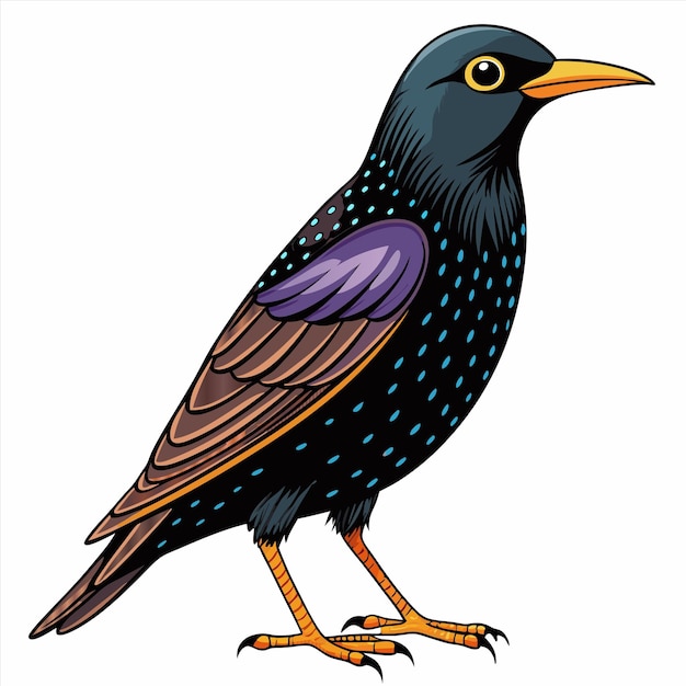 a drawing of a bird with a blue and black tail