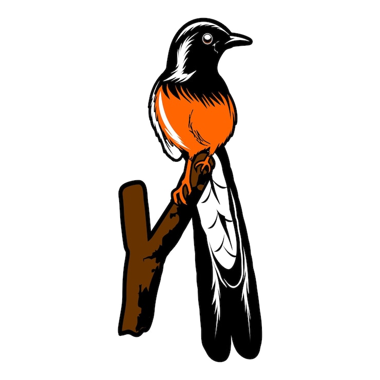 Vector a drawing of a bird with a brown beak and white feathers