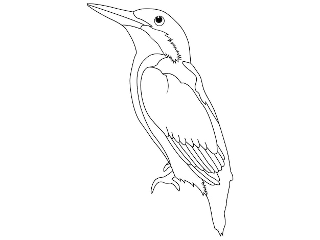 Рисунок птицы с длинным клювом и длинным клювом.