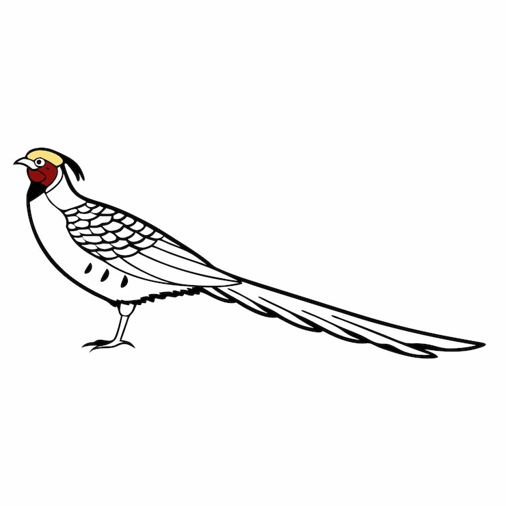 Vector a drawing of a bird with a red beak and a red eye