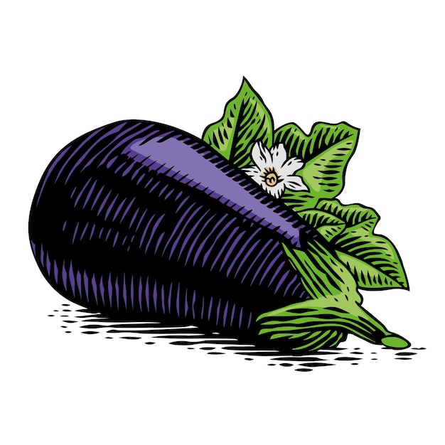 Drawing of blue eggplant with leaf and flower