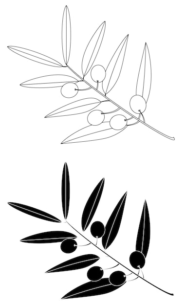 A drawing of a branch of olives with the leaves and the leaves are black and white.